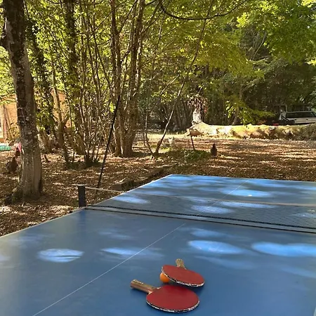 Domaine De Charme 3 Etoiles , Piscine Xxl Et Parc Verdoyant Tatil Evi