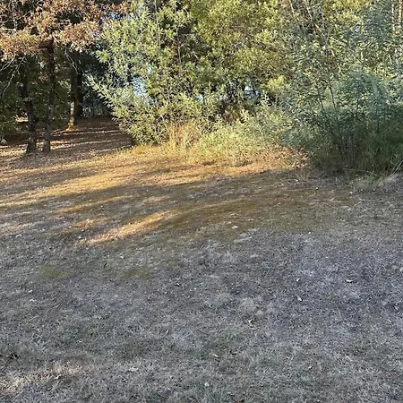 Domaine De Charme 3 Etoiles , Piscine Xxl Et Parc Verdoyant Tatil Evi Bonnetan