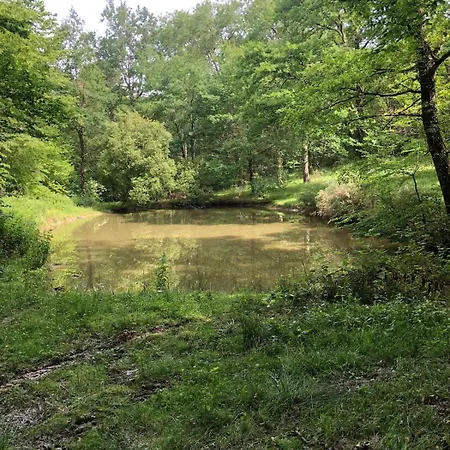 Domaine De Charme 3 Etoiles , Piscine Xxl Et Parc Verdoyant Bonnetan