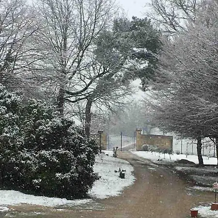 Domaine De Charme 3 Etoiles , Piscine Xxl Et Parc Verdoyant * Bonnetan