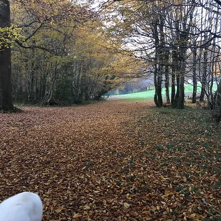 Domaine De Charme 3 Etoiles , Piscine Xxl Et Parc Verdoyant * Bonnetan