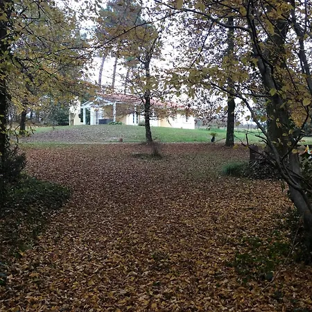 Domaine De Charme 3 Etoiles , Piscine Xxl Et Parc Verdoyant * Bonnetan